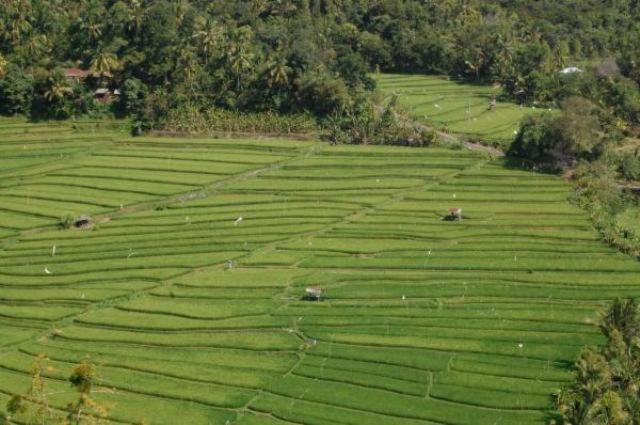Aditya Homestay موندوغْ المظهر الخارجي الصورة